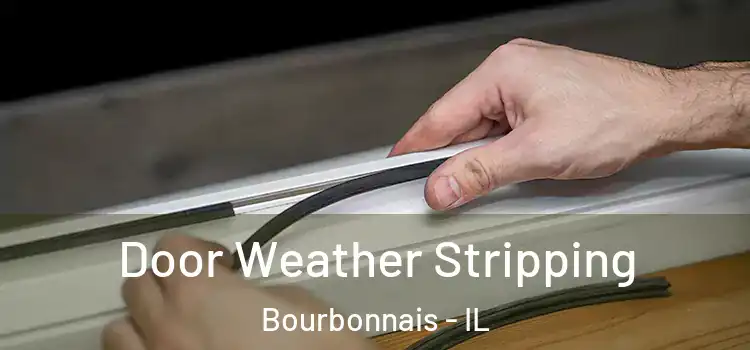  Door Weather Stripping Bourbonnais - IL