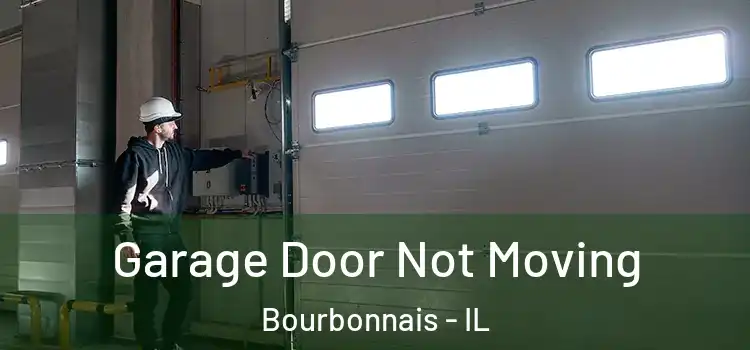  Garage Door Not Moving Bourbonnais - IL