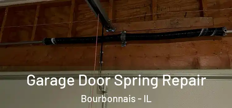  Garage Door Spring Repair Bourbonnais - IL