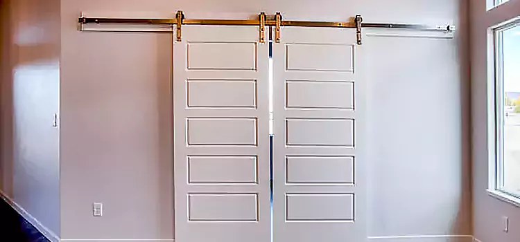 Glass Barn Door with Installation Hardware Kit Bourbonnais