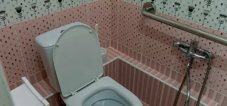 Meeting Diverse Needs With Accessible Restroom Solutions in Bourbonnais, IL