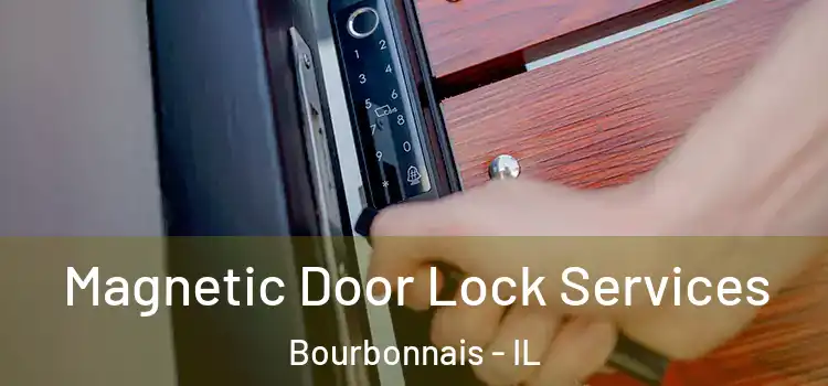 Magnetic Door Lock Services Bourbonnais - IL