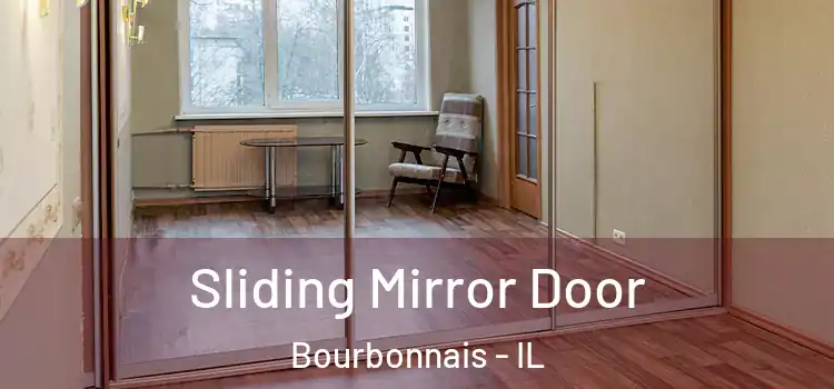 Sliding Mirror Door Bourbonnais - IL